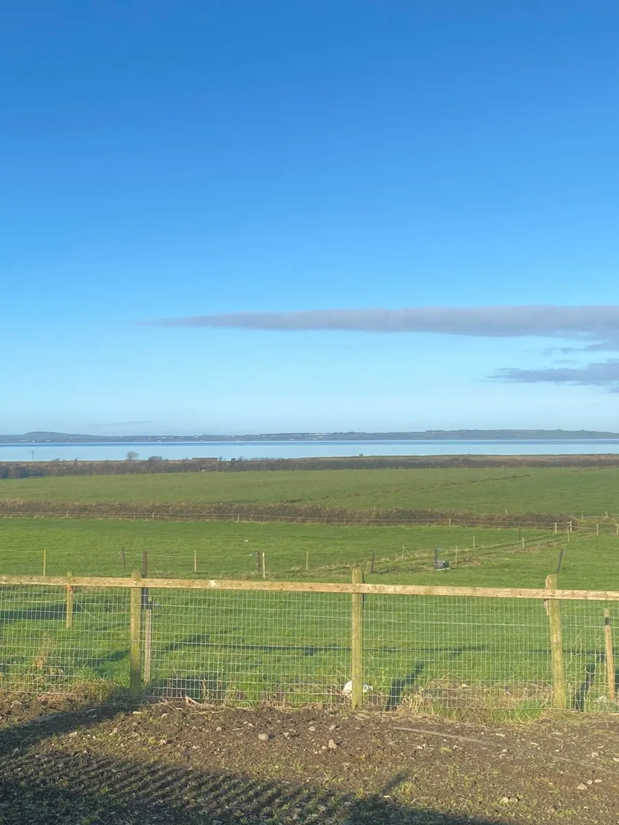 Full and DIY Livery Available - Image 3