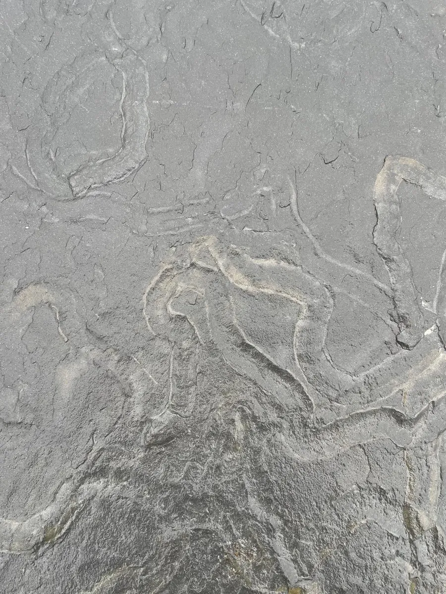 Liscannor Cut Paving - Image 2