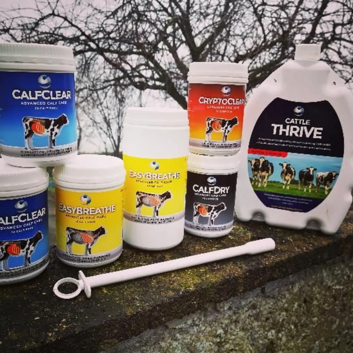 Calf Clear /Crypto clear bolus, Crypto Scour - Image 1