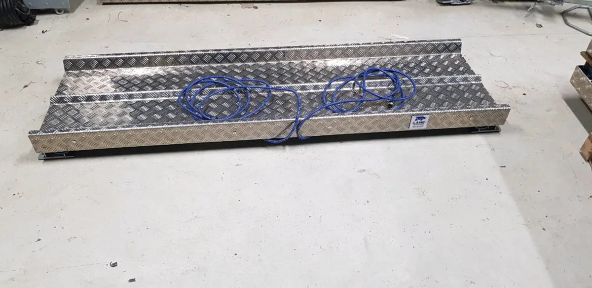 Cattle Weighing Scales (Qualify for BEEP TAMS) - Image 2