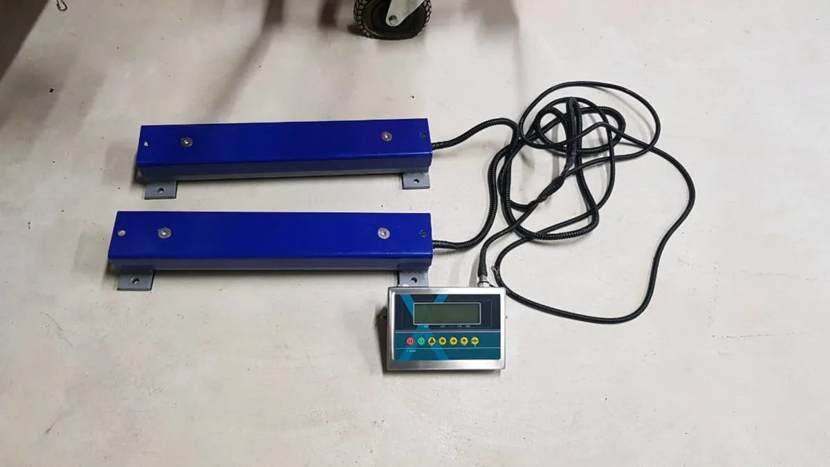 Cattle Weighing Scales (Qualify for BEEP TAMS) - Image 4