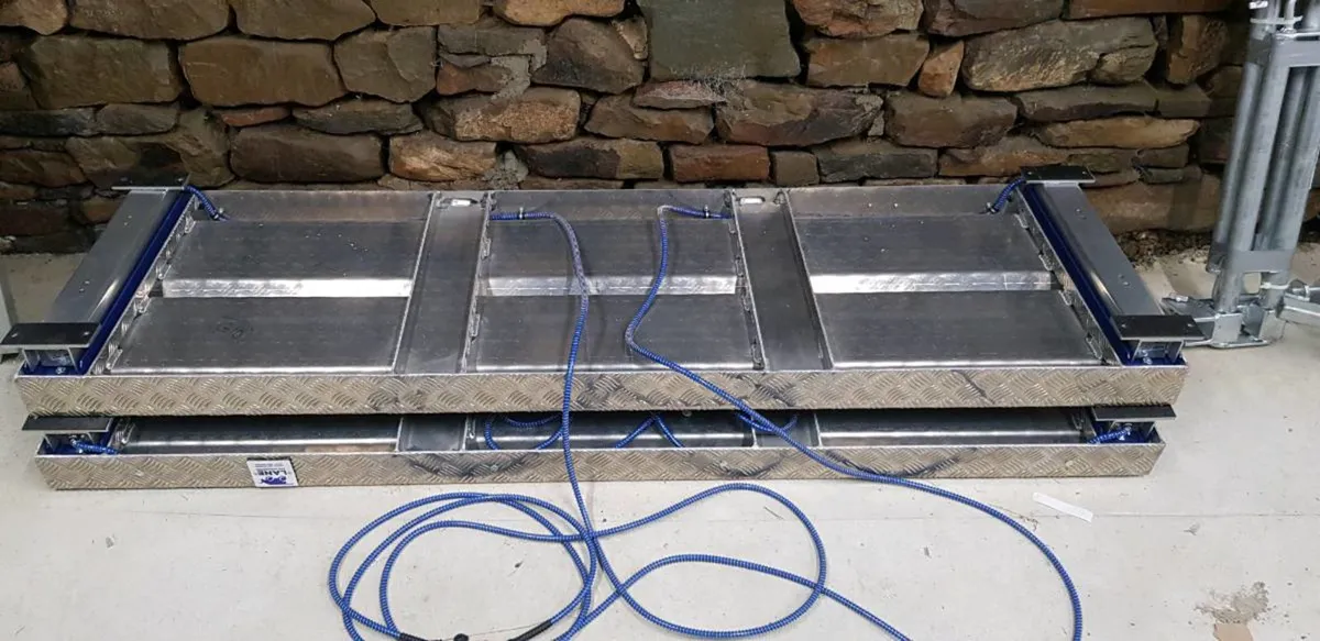 Cattle Weighing Scales (Qualify for BEEP TAMS) - Image 3