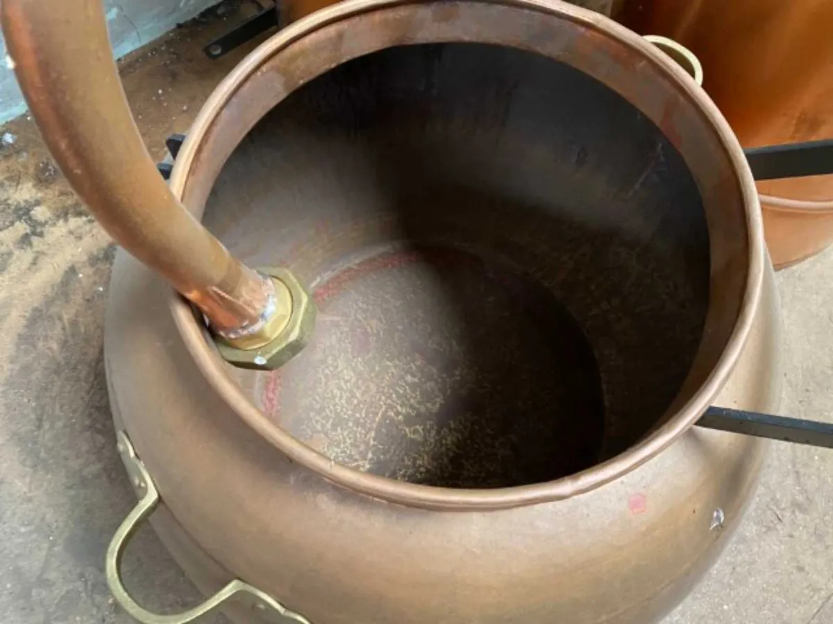 Your Auction, Your Place, Your Move....... - Image 4