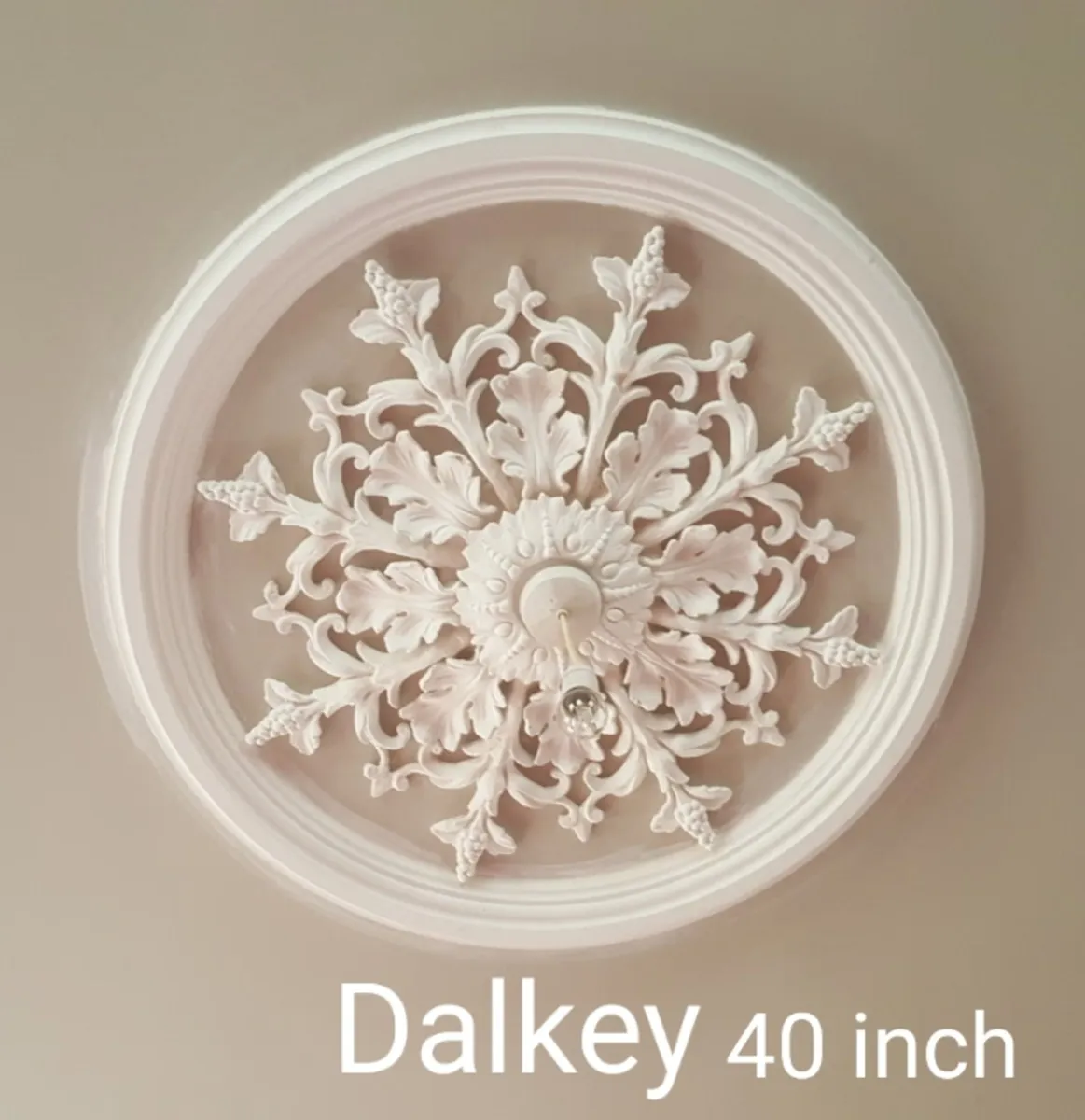 Plaster mouldings CAVAN/Dublin - Image 2