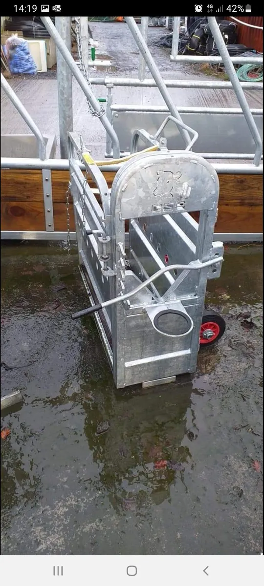 Calf Dehoring Crate - Image 2