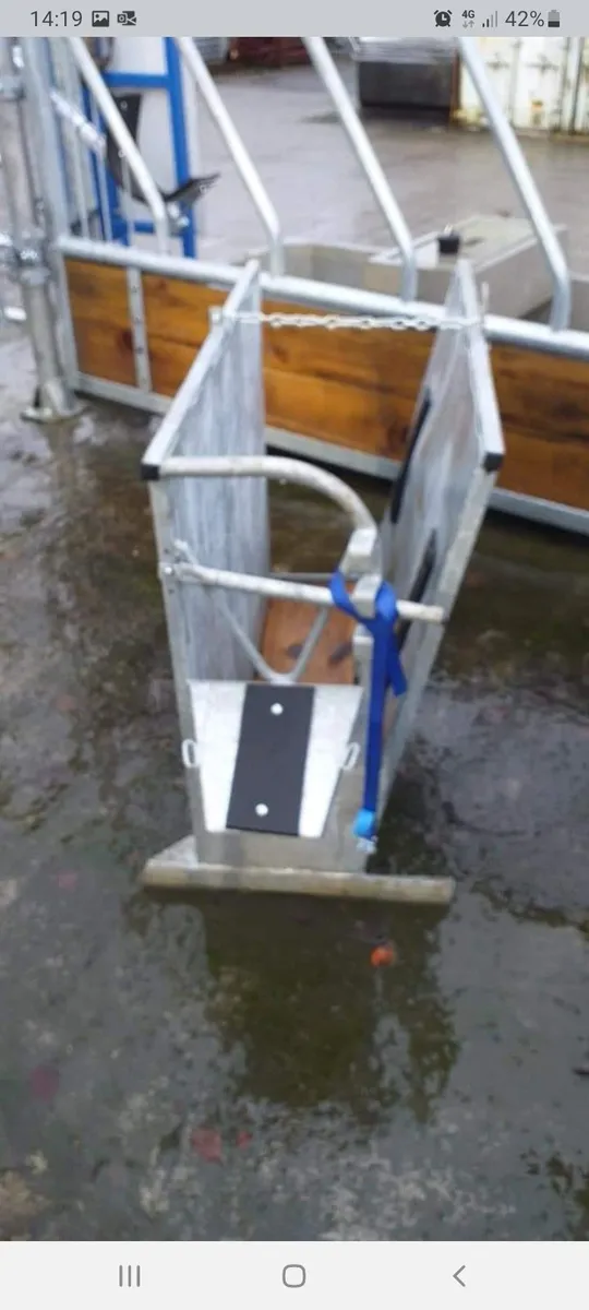 Calf Dehoring Crate - Image 4