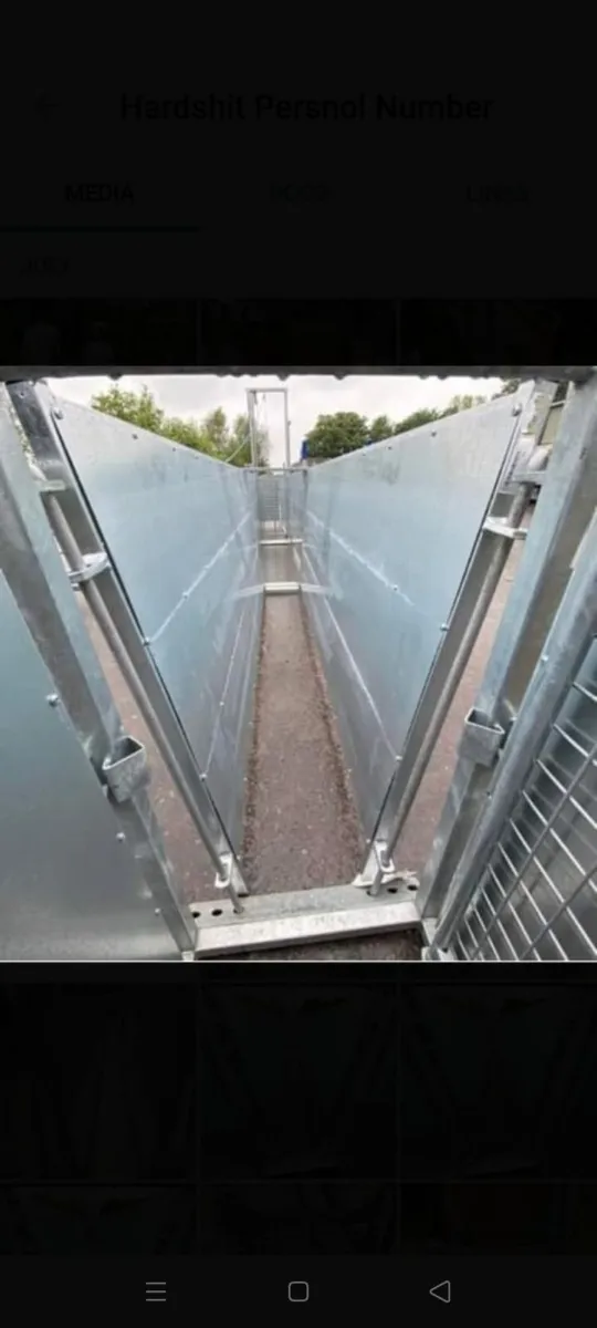 Buffalo steel products sheep race/sheep scales - Image 2