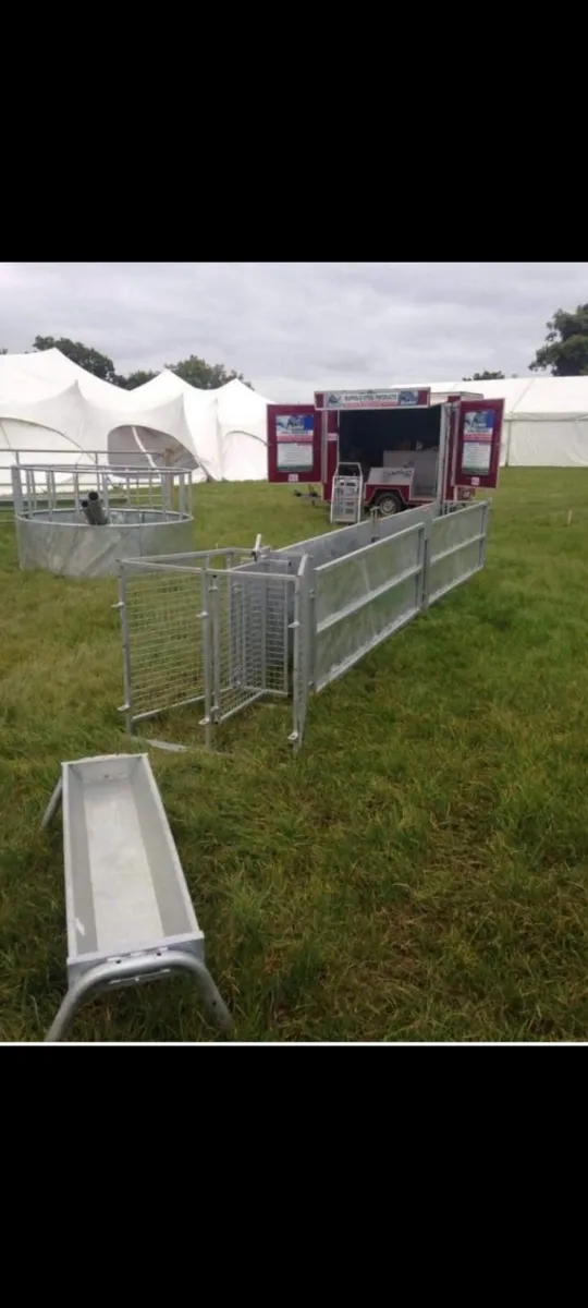 Buffalo steel products sheep race/sheep scales - Image 3