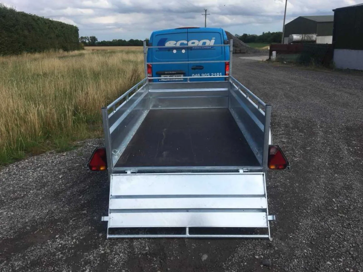 Lider Robust 39394 (8' x 4') - Image 3