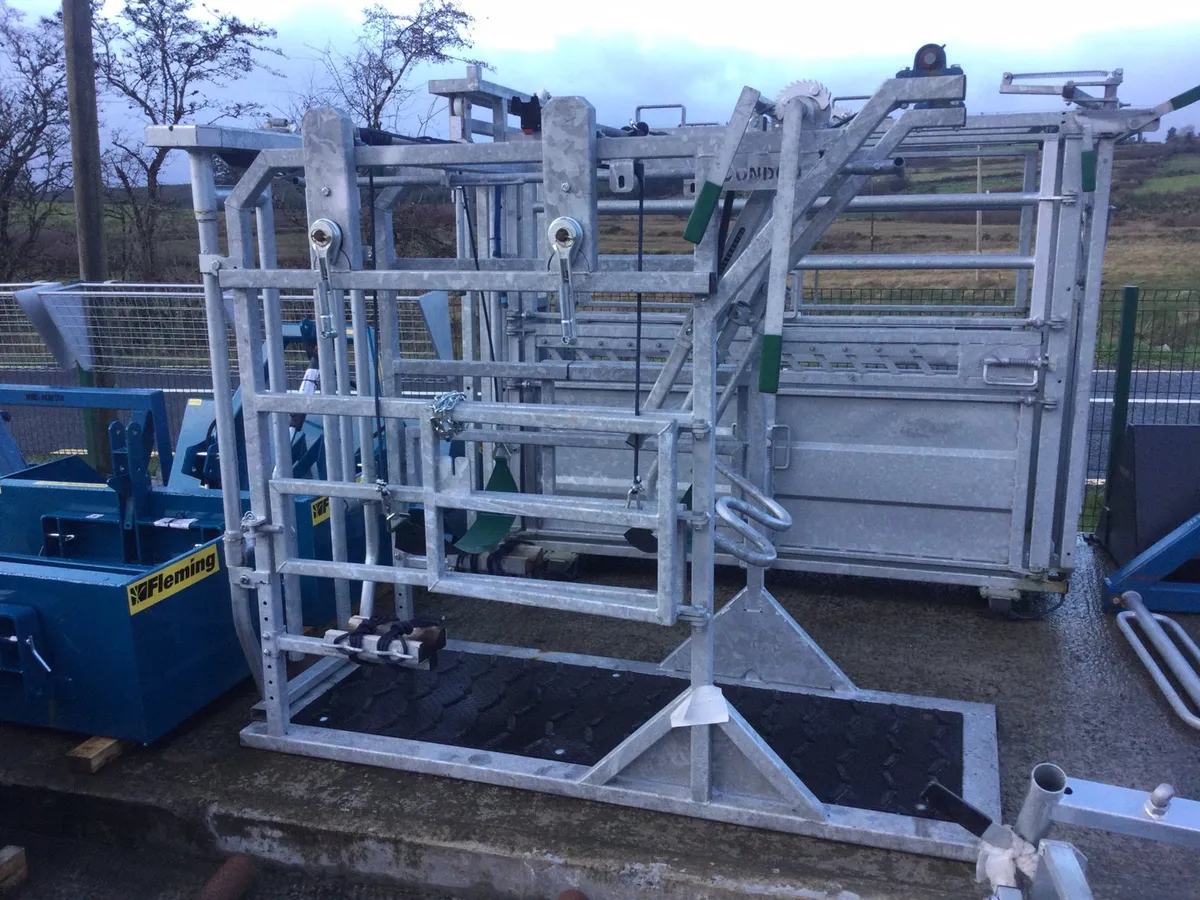 Cow hoof pairing crate - Image 2