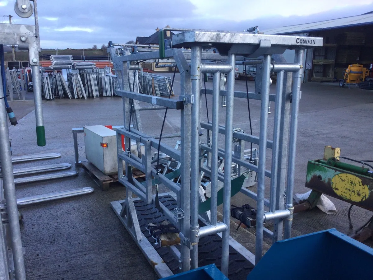 Cow hoof pairing crate - Image 1