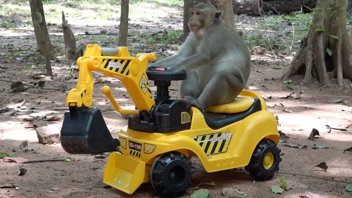 Digger grabs, buckets & all attachments - Image 2