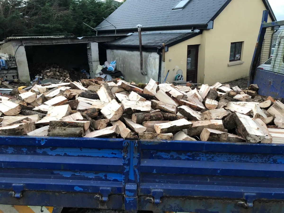 Ash beech and oak firewood - Image 3