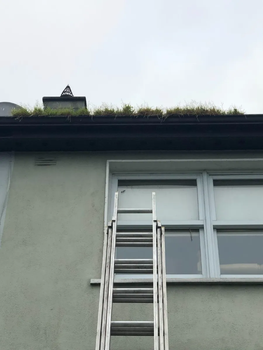 Gutter Cleaning Dublin - Image 4