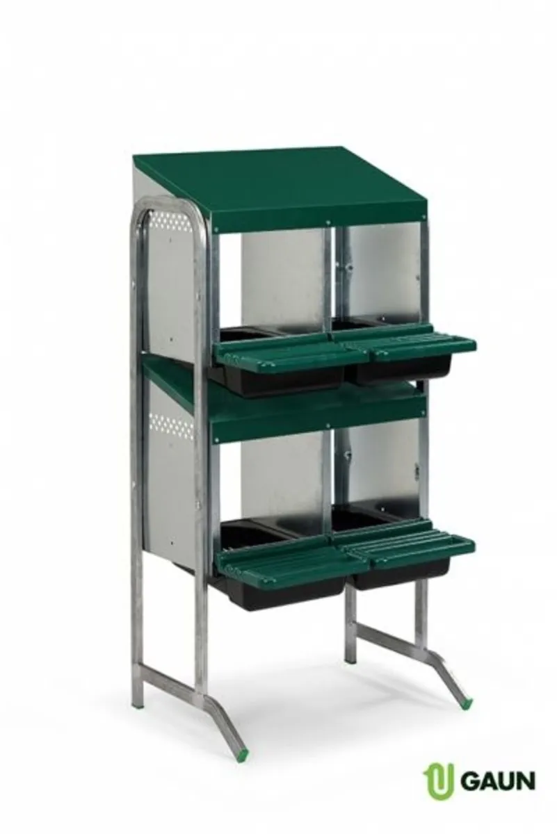 Poultry Supplies & Incubators. www.maceoinltd.com - Image 4