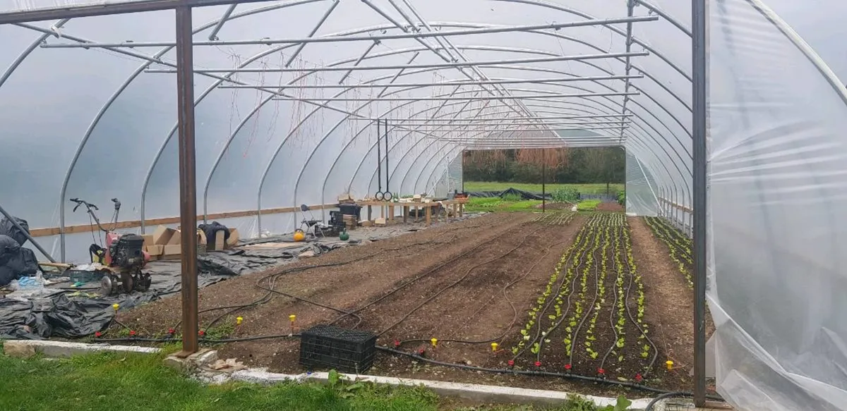 9m wide commercial polytunnels - Image 1