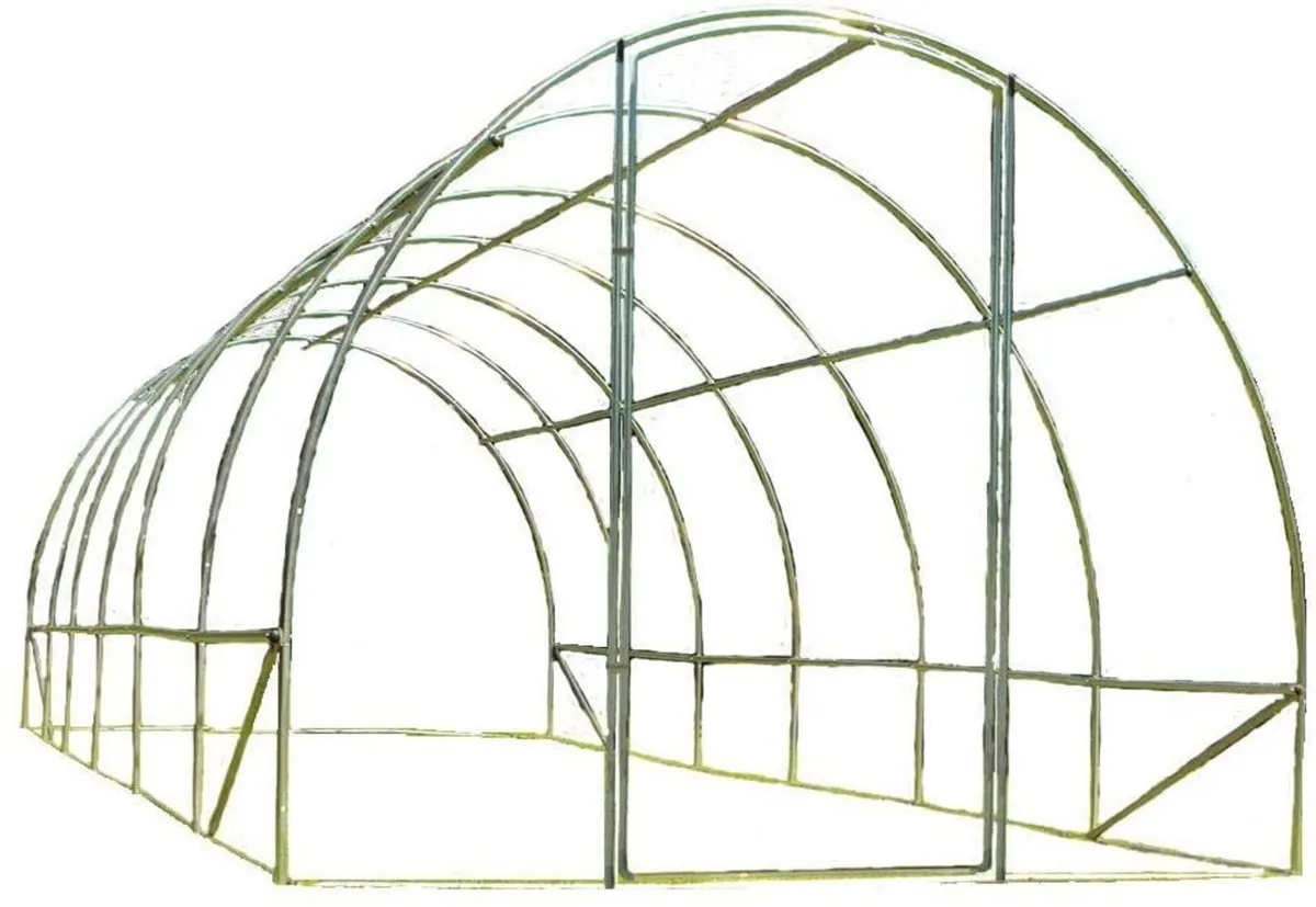 POLYTUNNEL - Image 2