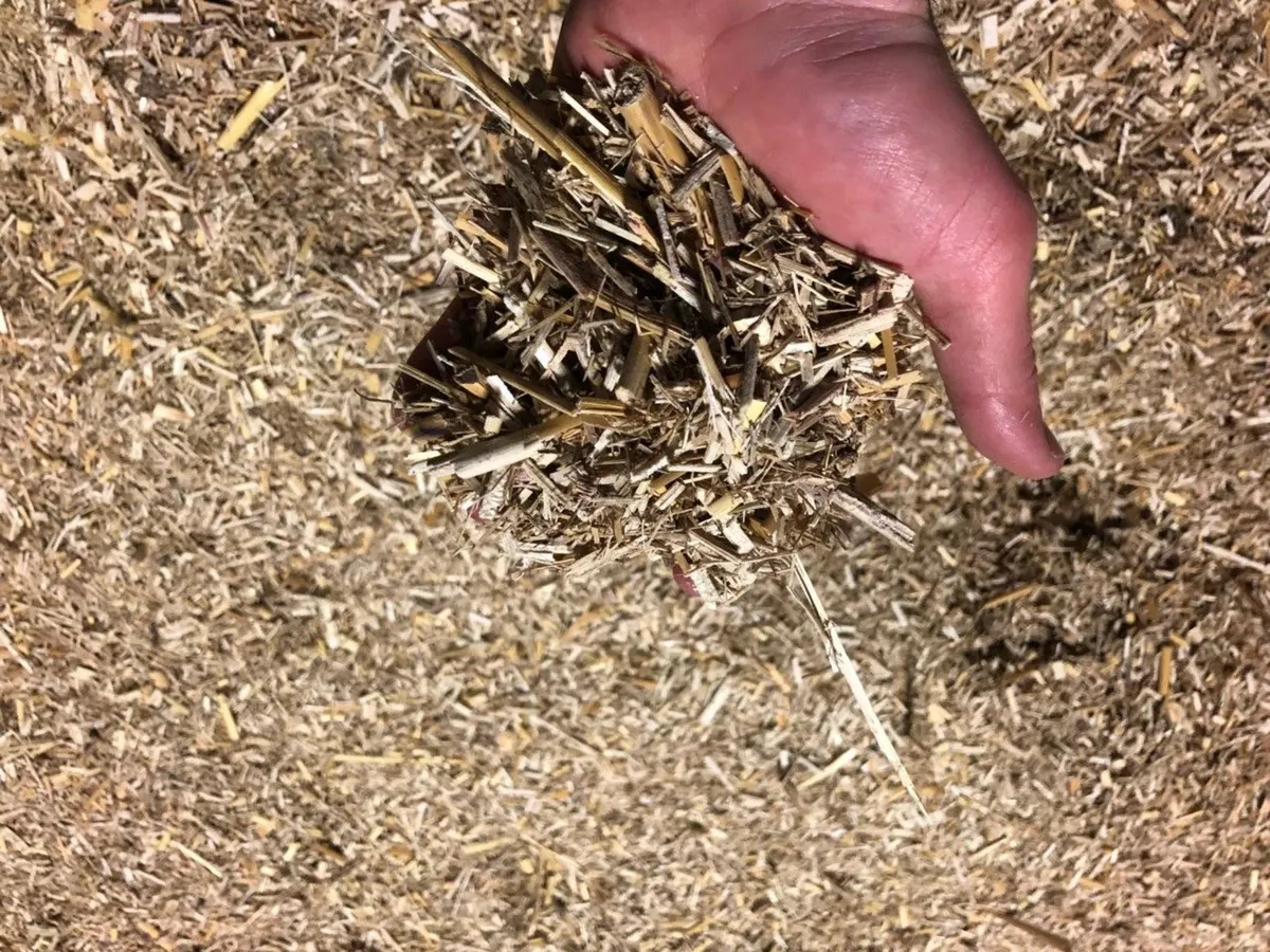 Dri-Bed Poultry litter - Image 3