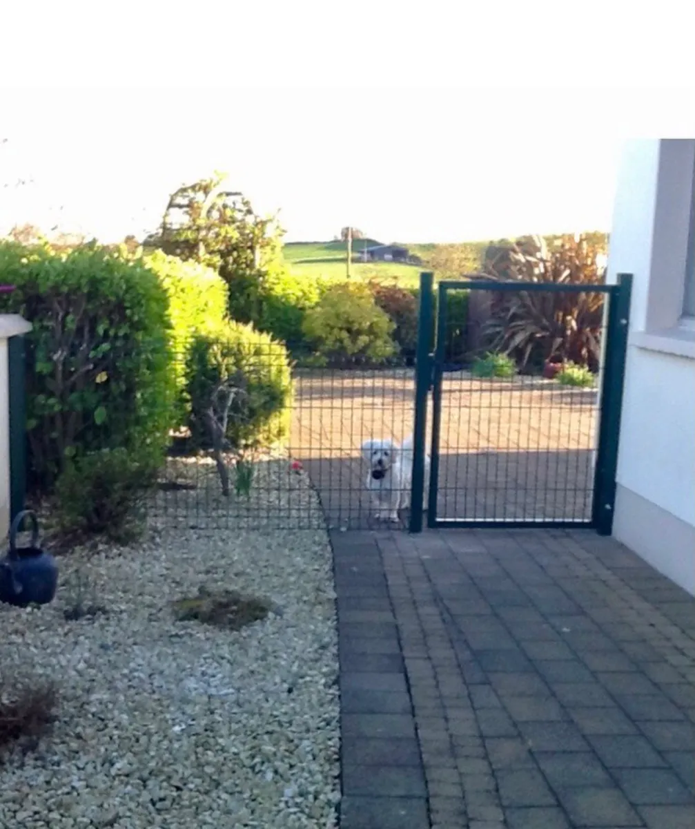 ‼️‼️BIG SALE -ALL IRELAND ..GATES..Samson Ireland - Image 2