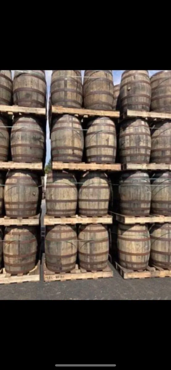 Whiskey oak Barrel planters - Image 4