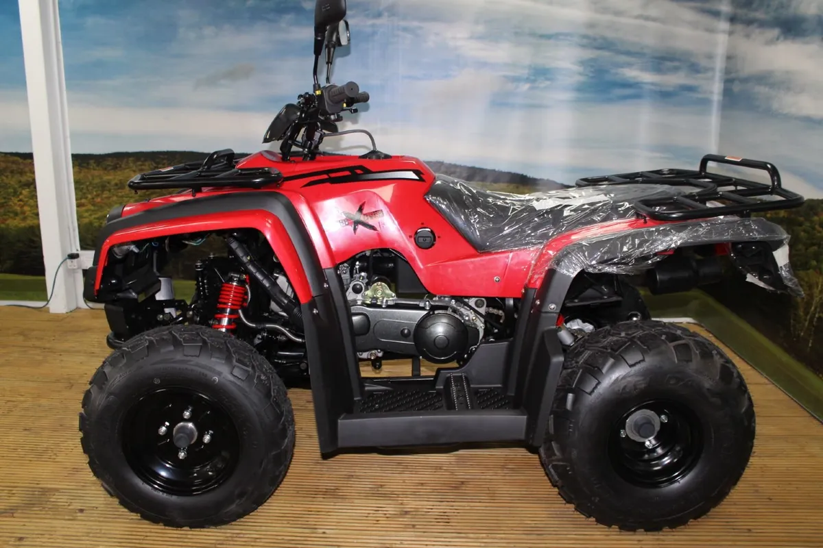Adly 150cc Utility Quad ATV - Image 3
