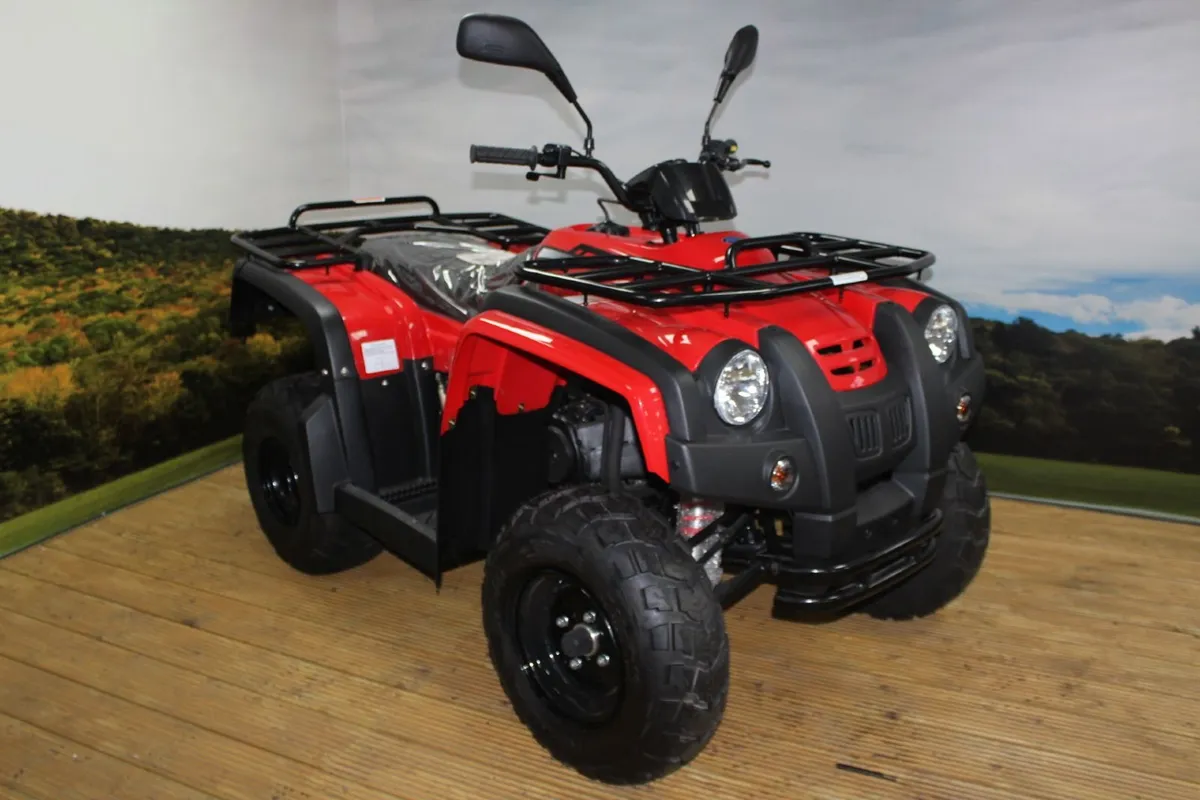 Adly 150cc Utility Quad ATV - Image 4