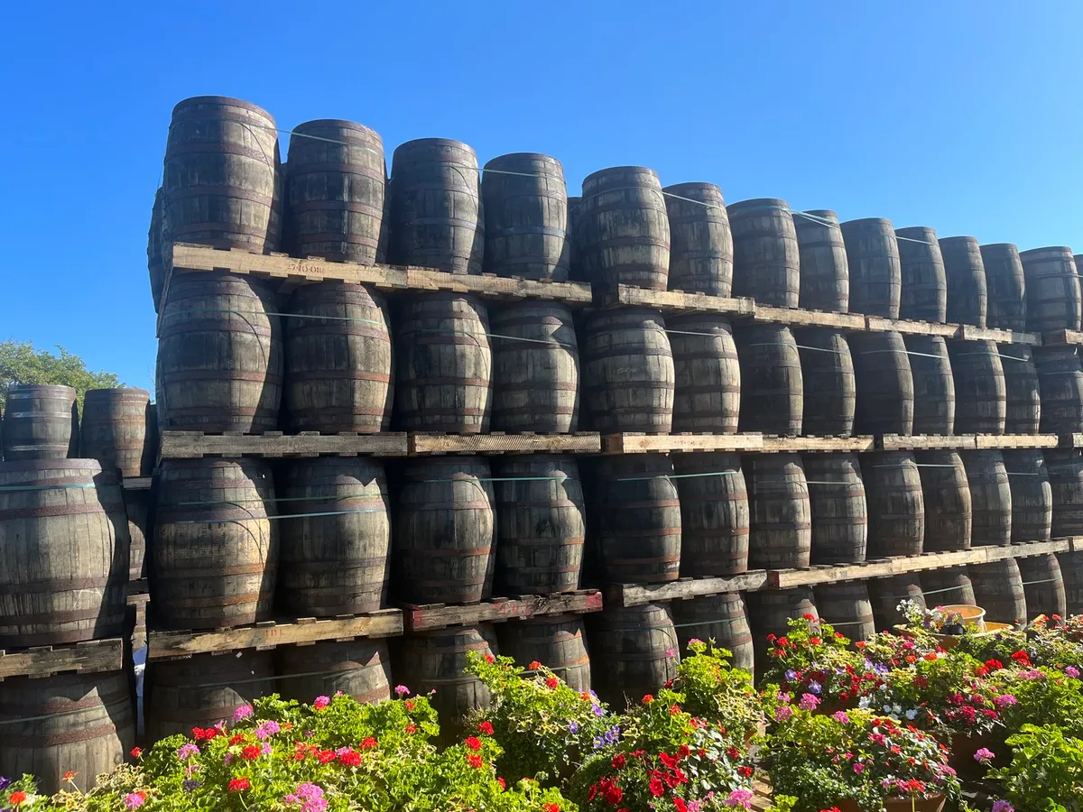 Extreme High Quality oak whiskey  barrels - Image 1