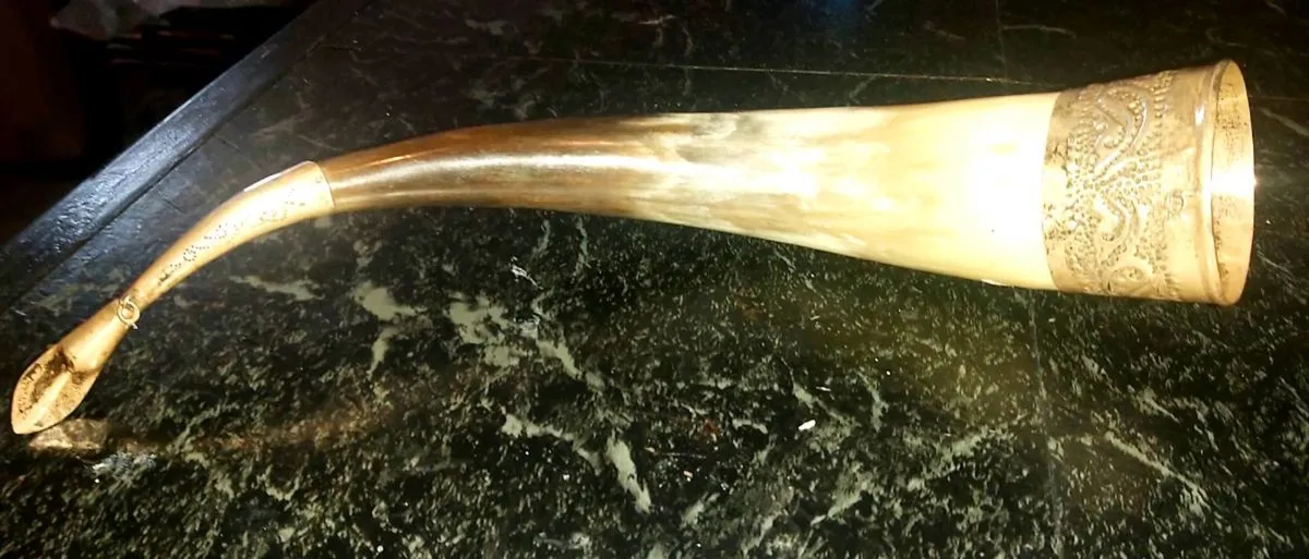 Antique silver display horn 875 - Image 2