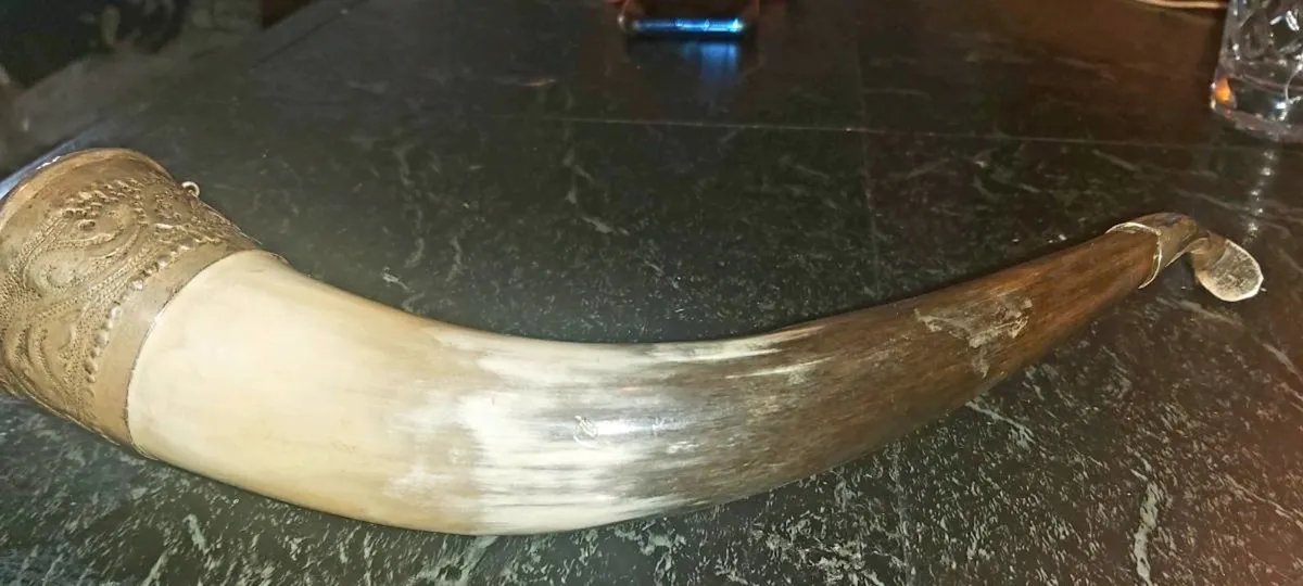 Antique silver display horn 875 - Image 3
