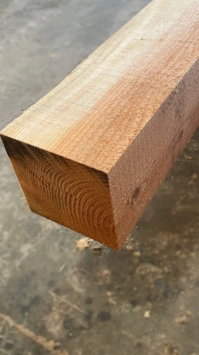 Larch Timber - Image 4