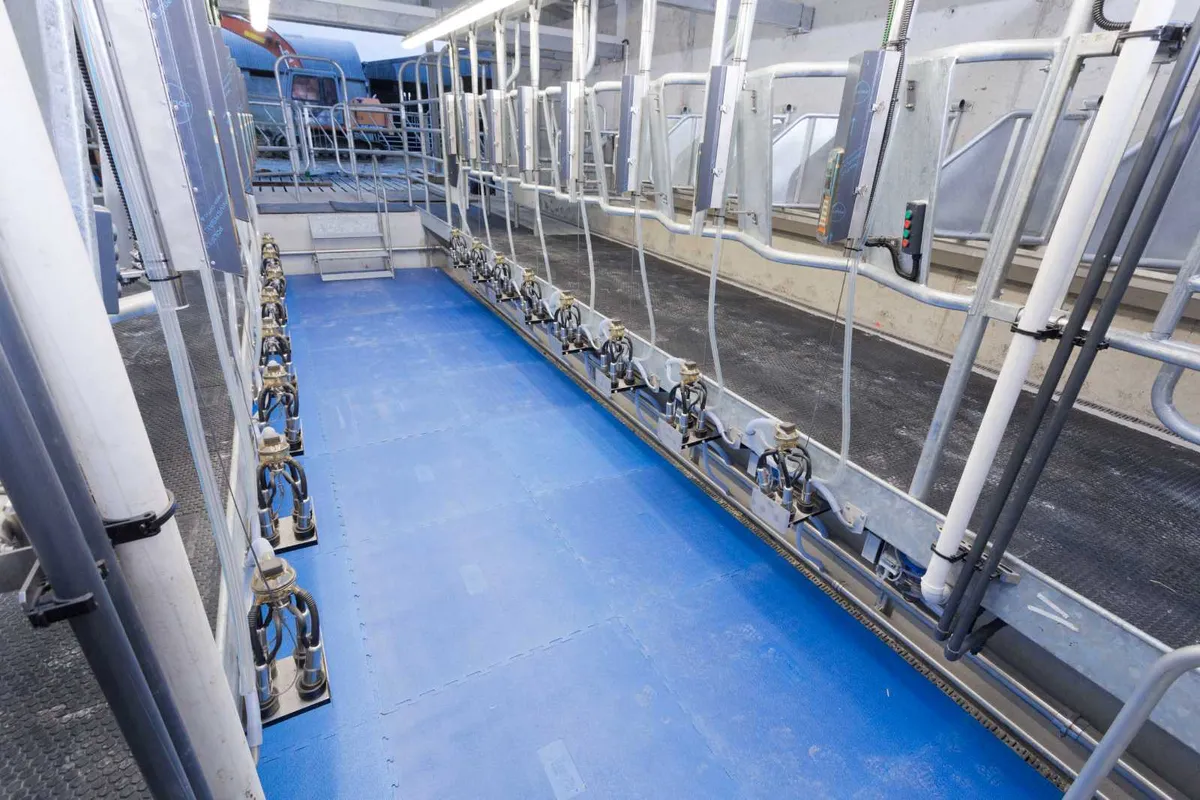 Parlour Matting - Parlour Pit & Cow Standing Area - Image 3