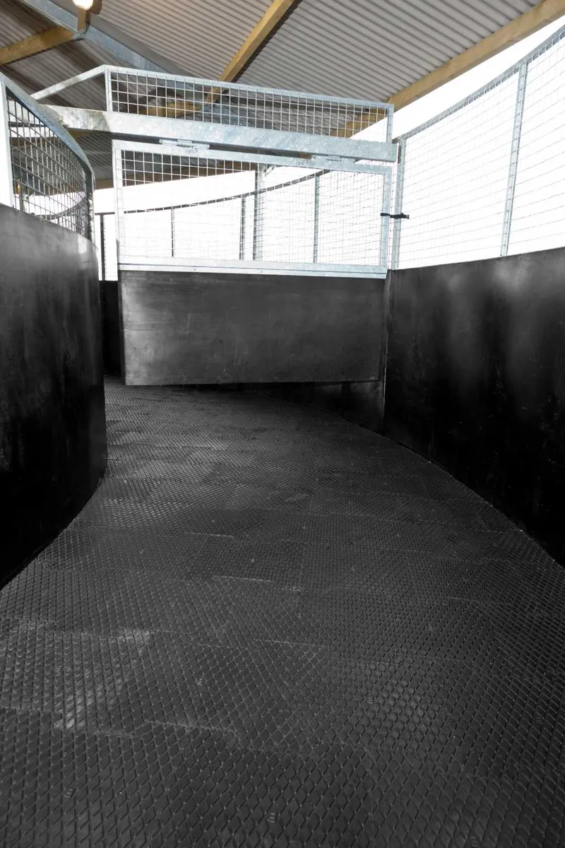 EASYFIX Equine Horse Walker Flooring - Image 1