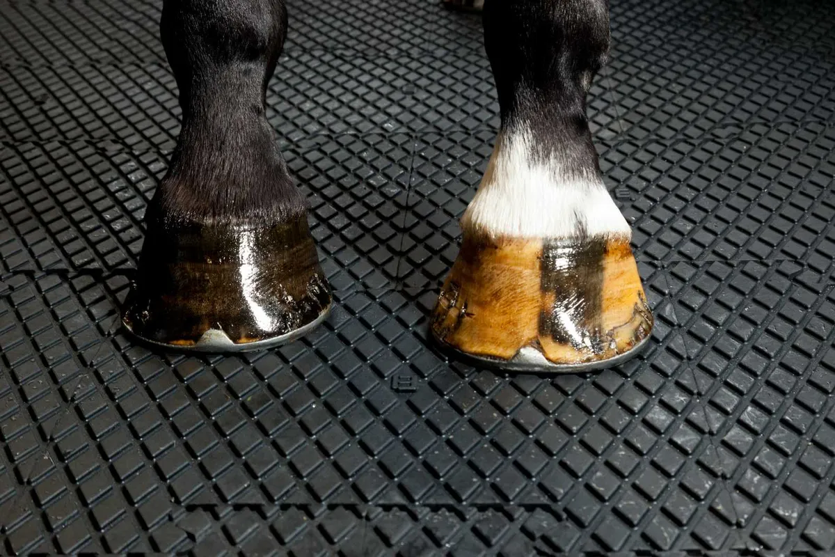 EASYFIX Equine Horse Walker Flooring - Image 4