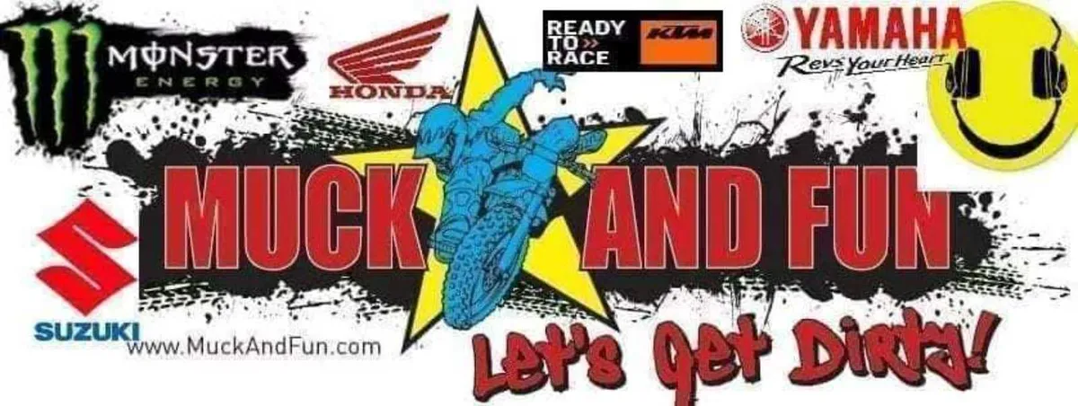 SXT Buddy electric scooter half price WARRANTY - Image 3