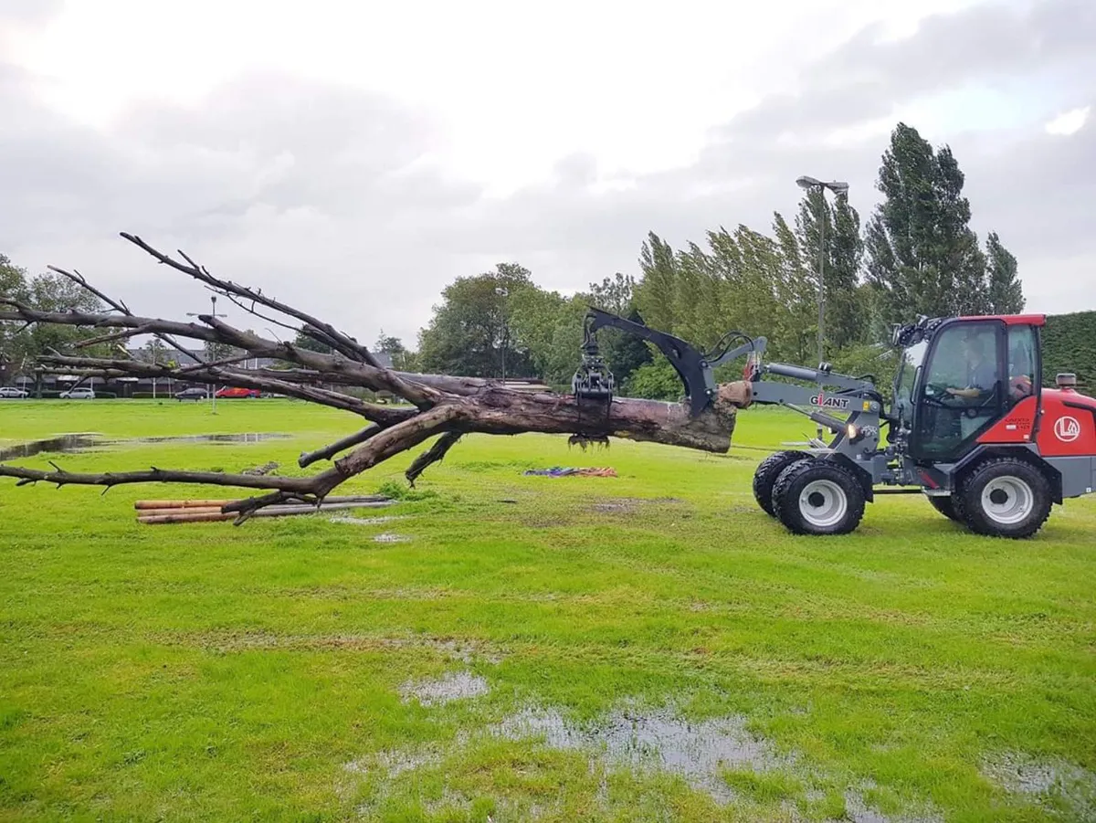 Giant Compact Loaders - Image 4