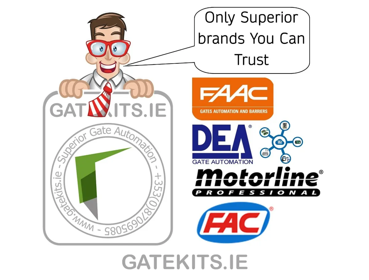 Electric Gates - Image 3