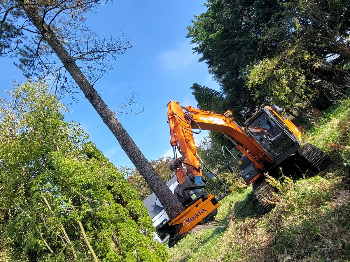 Koala K300 Tree shears strikes again! - Image 2