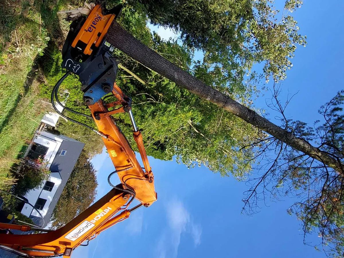 Koala K300 Tree shears strikes again! - Image 3