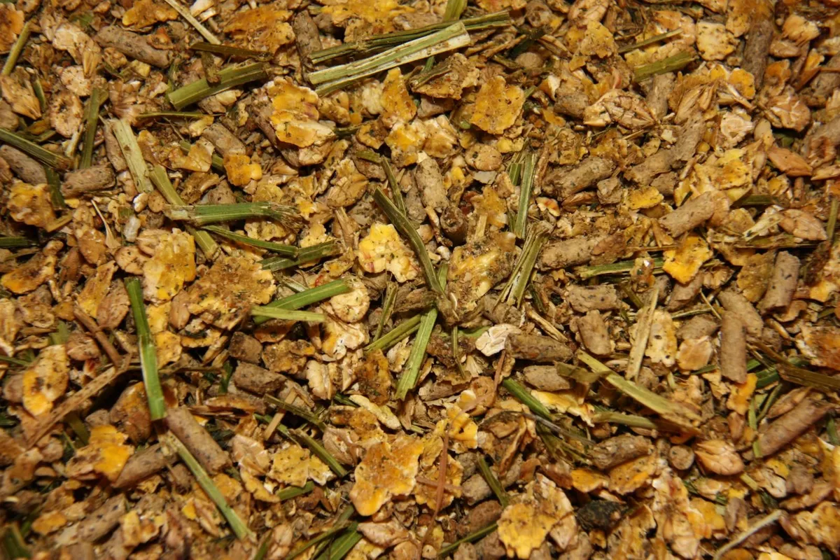 Super Elite Beef Feed/Ration/Diet/Ad Lib/Intensive - Image 1