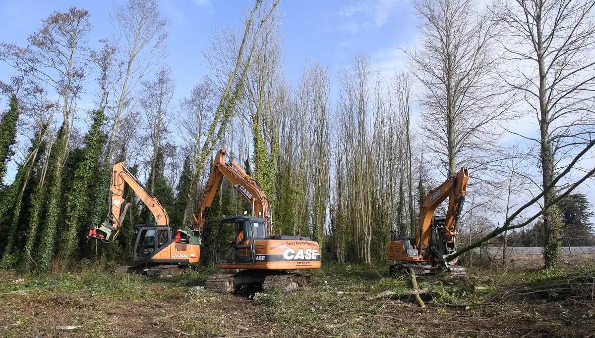 Oriel Tree shear (Irish Made) - Image 4