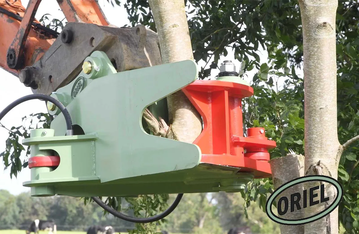 Oriel Tree Shear - Image 1