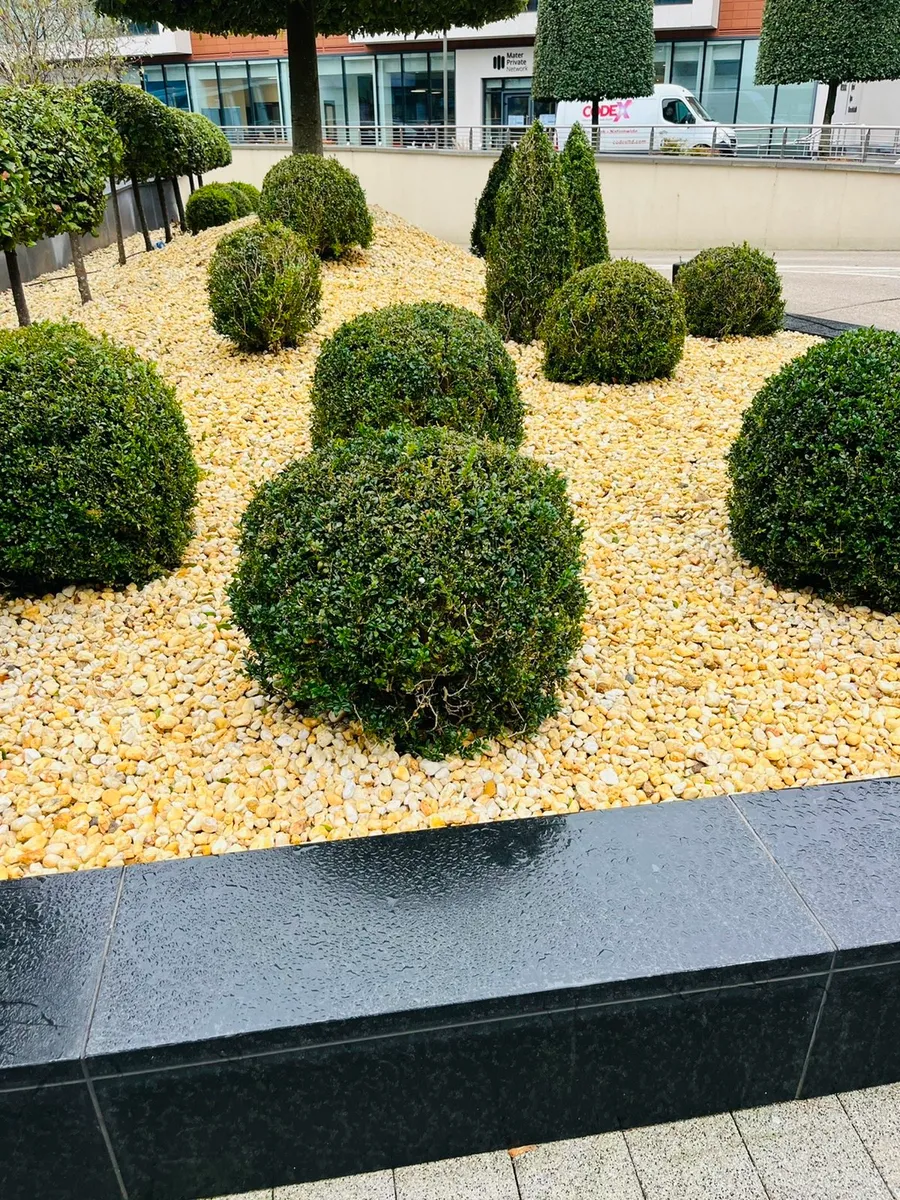 Plum Slate Mulch - Decorative Stone Munster - Image 2