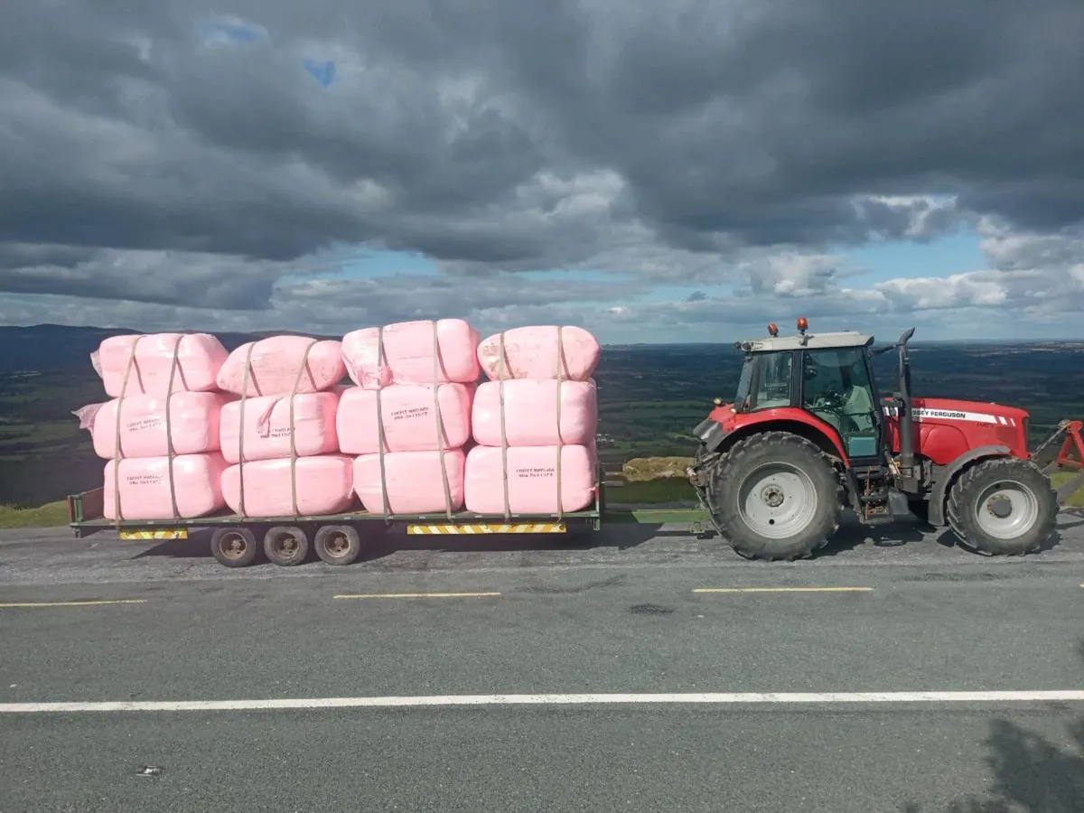 HAYLAGE FOR SALE - SQUARES AND ROUNDS. - Image 1