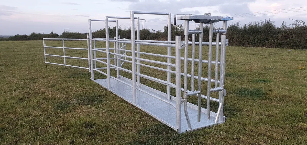 Portable Cattle Crush - Image 1