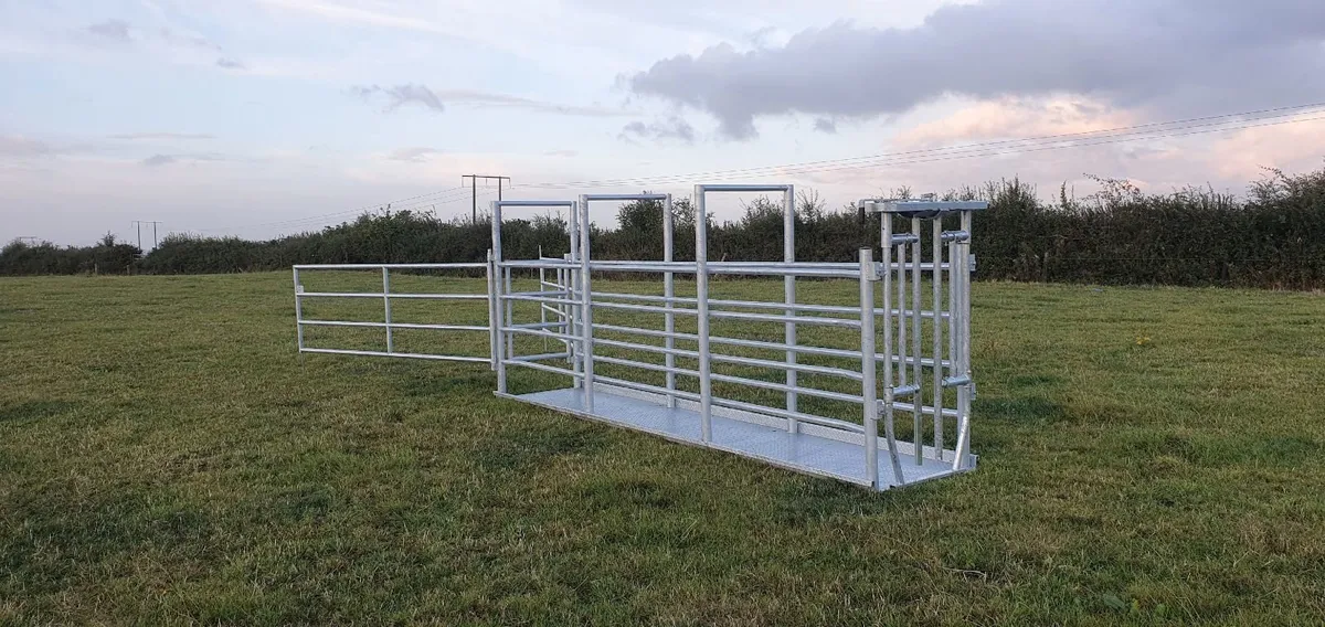 Portable Cattle Crush - Image 2