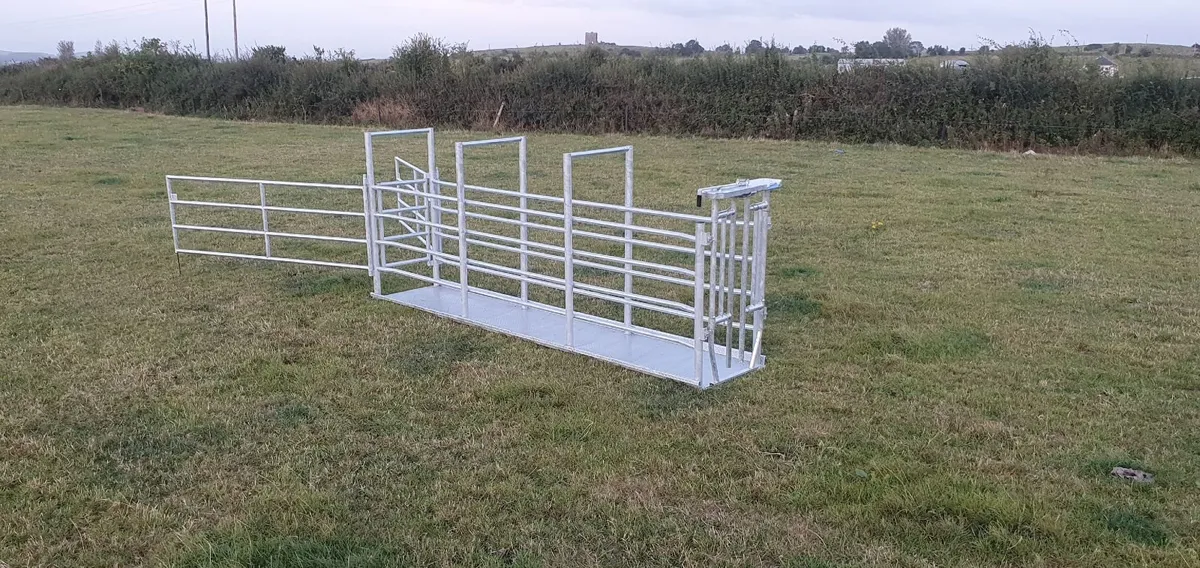 Portable Cattle Crush - Image 3