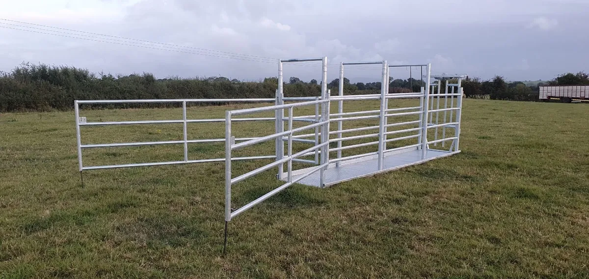 Portable Cattle Crush - Image 4