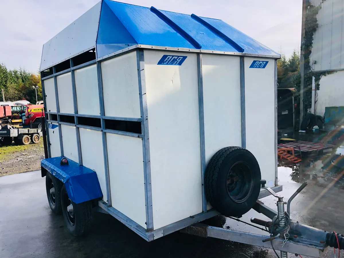 BCA Cattle Trailer - Sheep Trailer - Image 2
