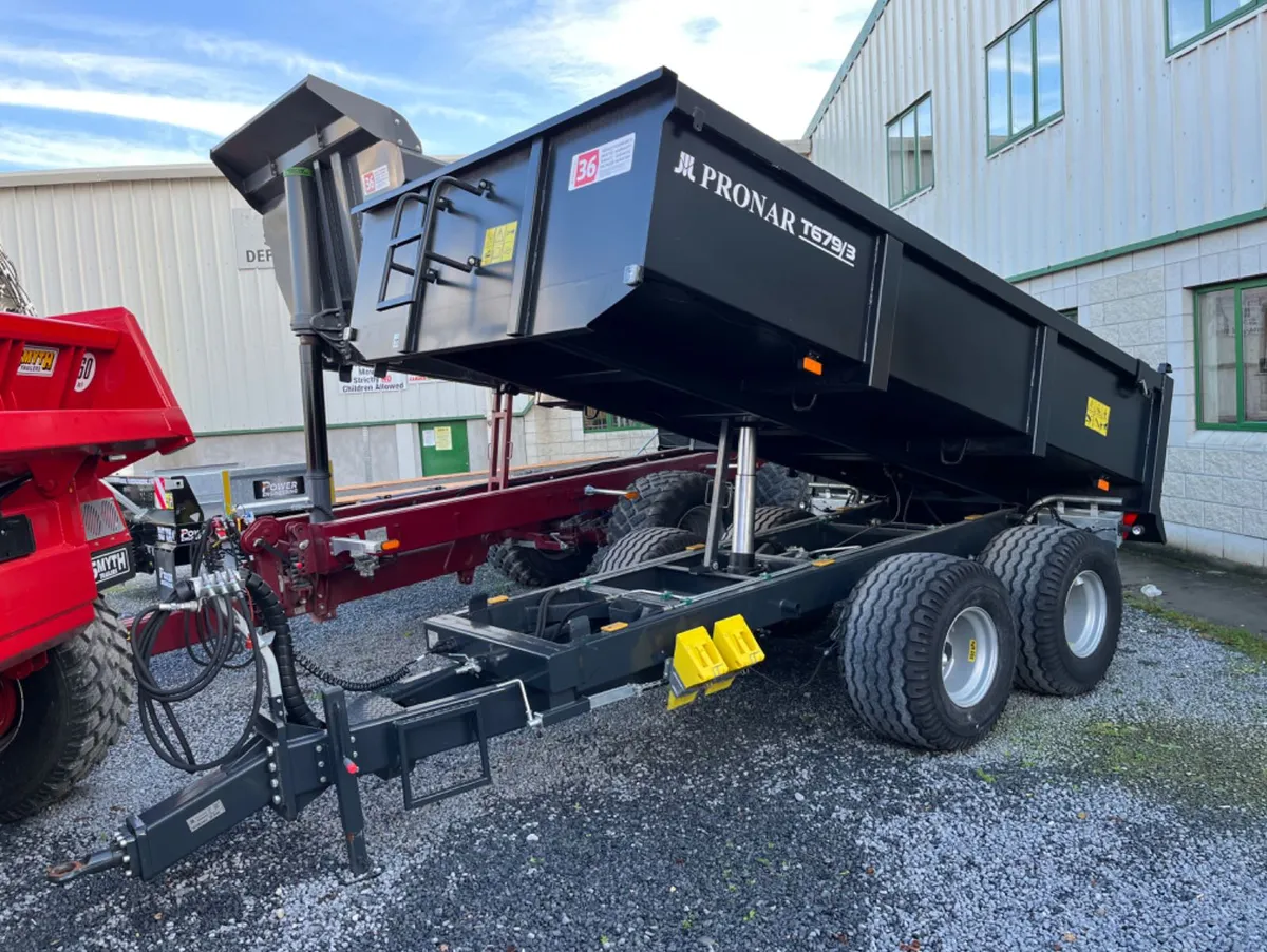 Pronar 10 tonne trailer - Image 1