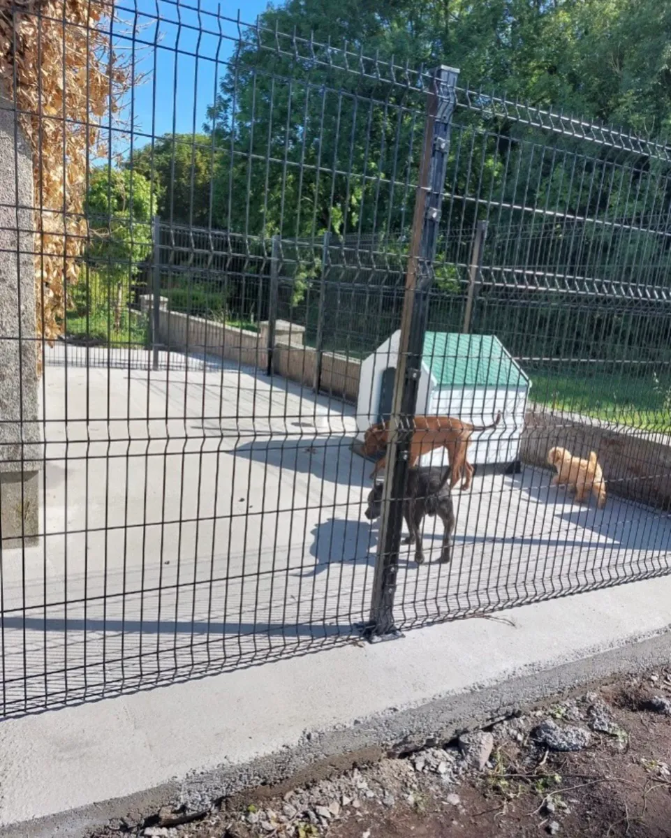 Rolls of Dog wire.. 3.4.5&6ft high - Image 3